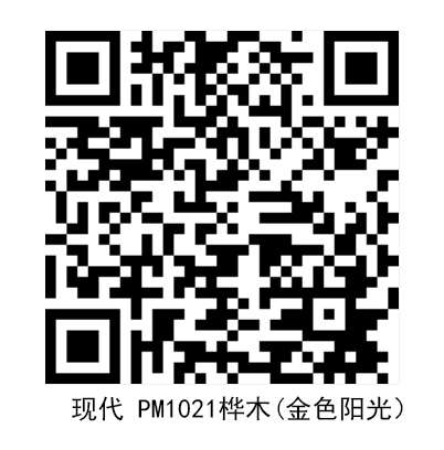 PM1021 1.jpg